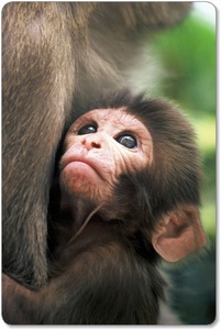 �l�Ԃ͓����A���������ł��邱�Ƃ�Y��Ȃ��悤�ɁI